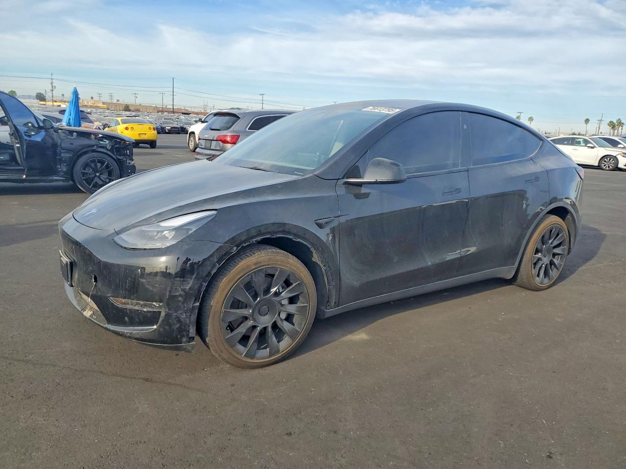 2025 TESLA MODEL Y
