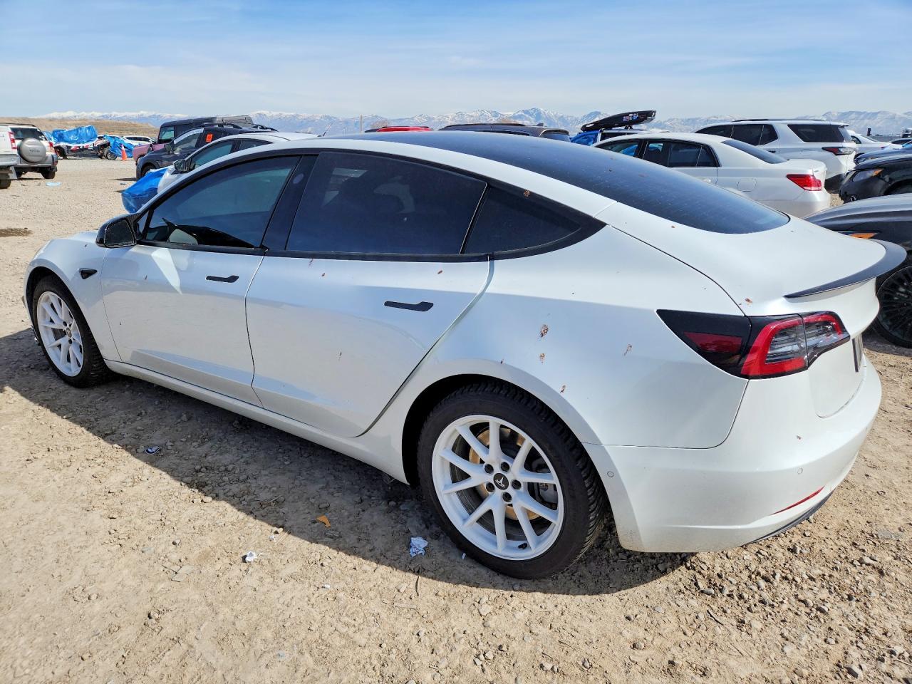 2021 TESLA MODEL 3