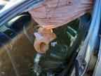 2005 HONDA ACCORD