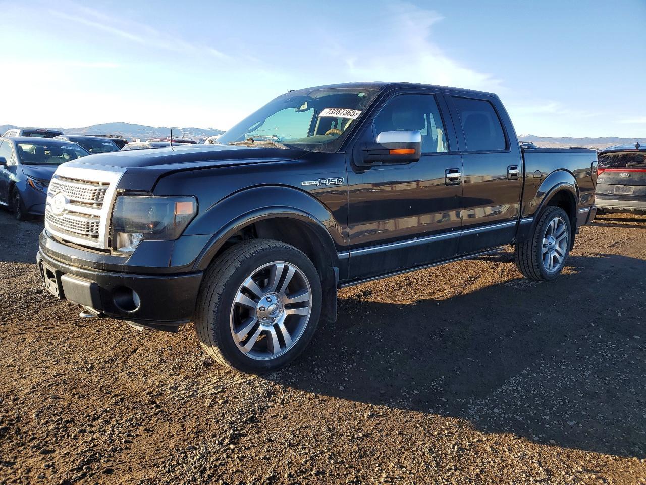 2010 FORD F-150 Lightning