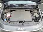 2024 KIA Niro