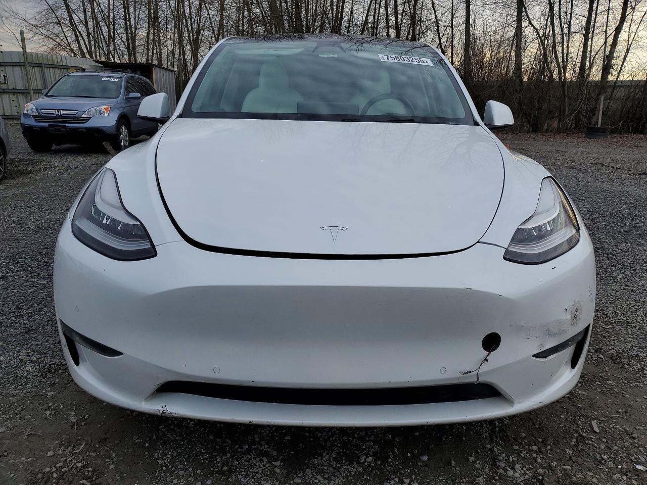 2020 TESLA MODEL Y