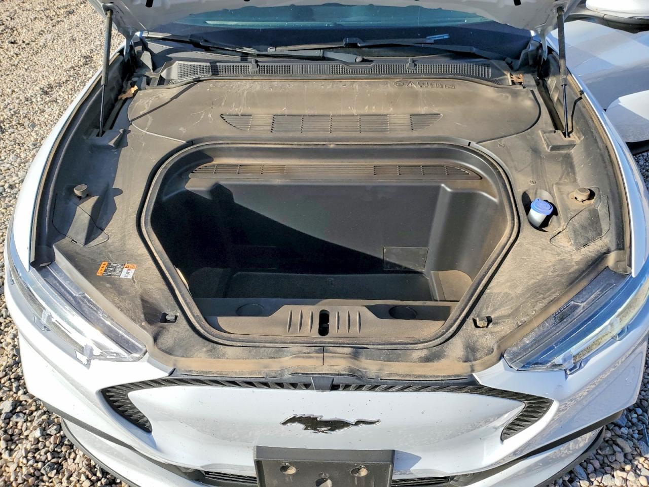 2021 FORD Mustang Mach-E