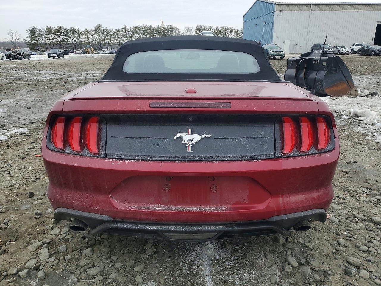 2019 FORD MUSTANG