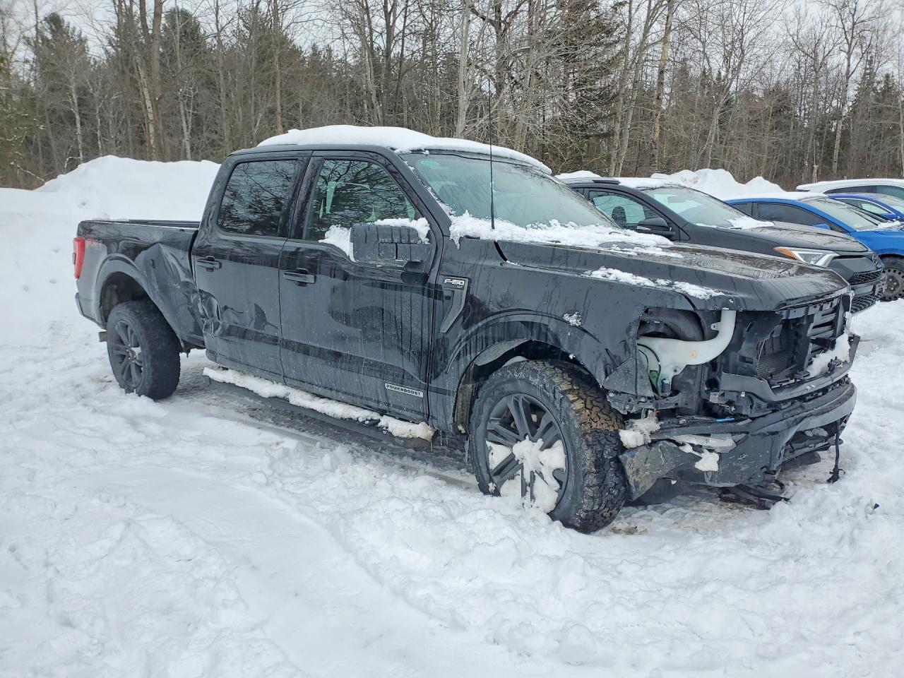 2023 FORD F-150