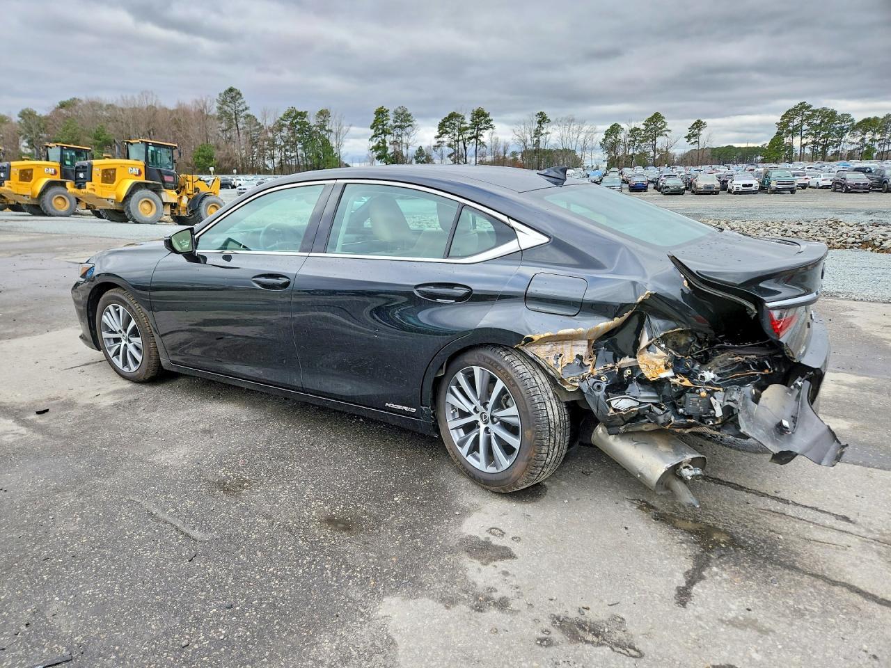 2020 LEXUS ES 300H