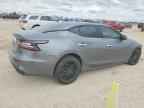 2019 NISSAN Maxima