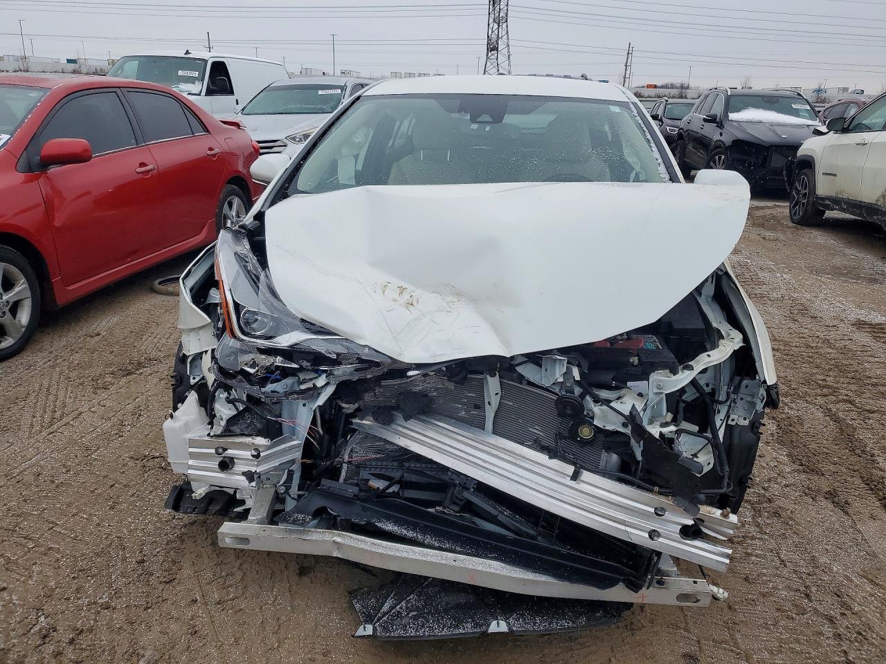 2019 TOYOTA PRIUS