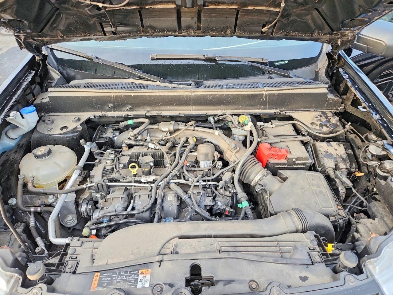 2024 FORD Maverick