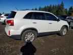 2014 KIA SORENTO