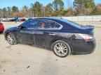 2013 NISSAN Maxima