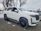 2022 CADILLAC ESCALADE