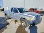 2005 DODGE Dakota