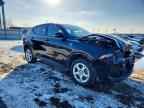 2023 DODGE Hornet