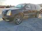 2009 CADILLAC Escalade ESV