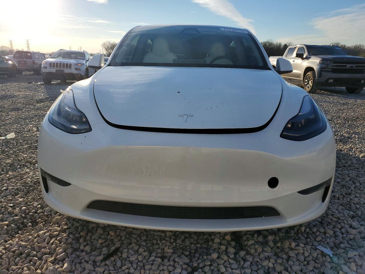 2025 TESLA MODEL Y