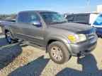2005 TOYOTA TUNDRA