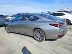 2020 LEXUS ES 300H
