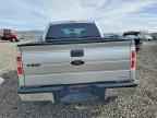 2013 FORD F-150 Lightning