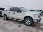 2011 FORD F-150 Lightning