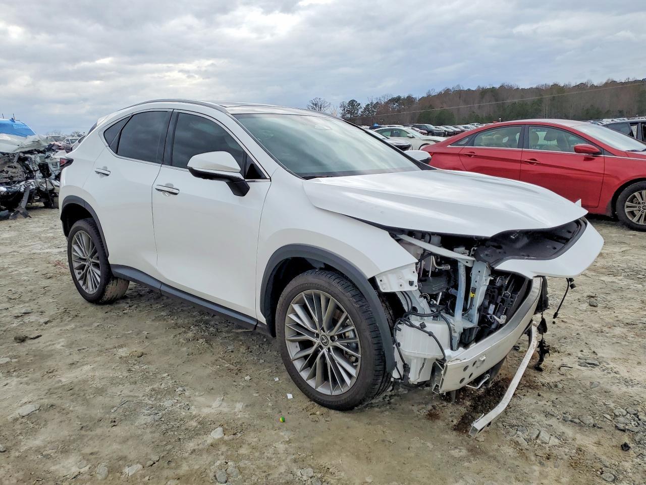 2023 LEXUS NX 350