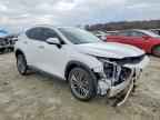 2023 LEXUS NX 350