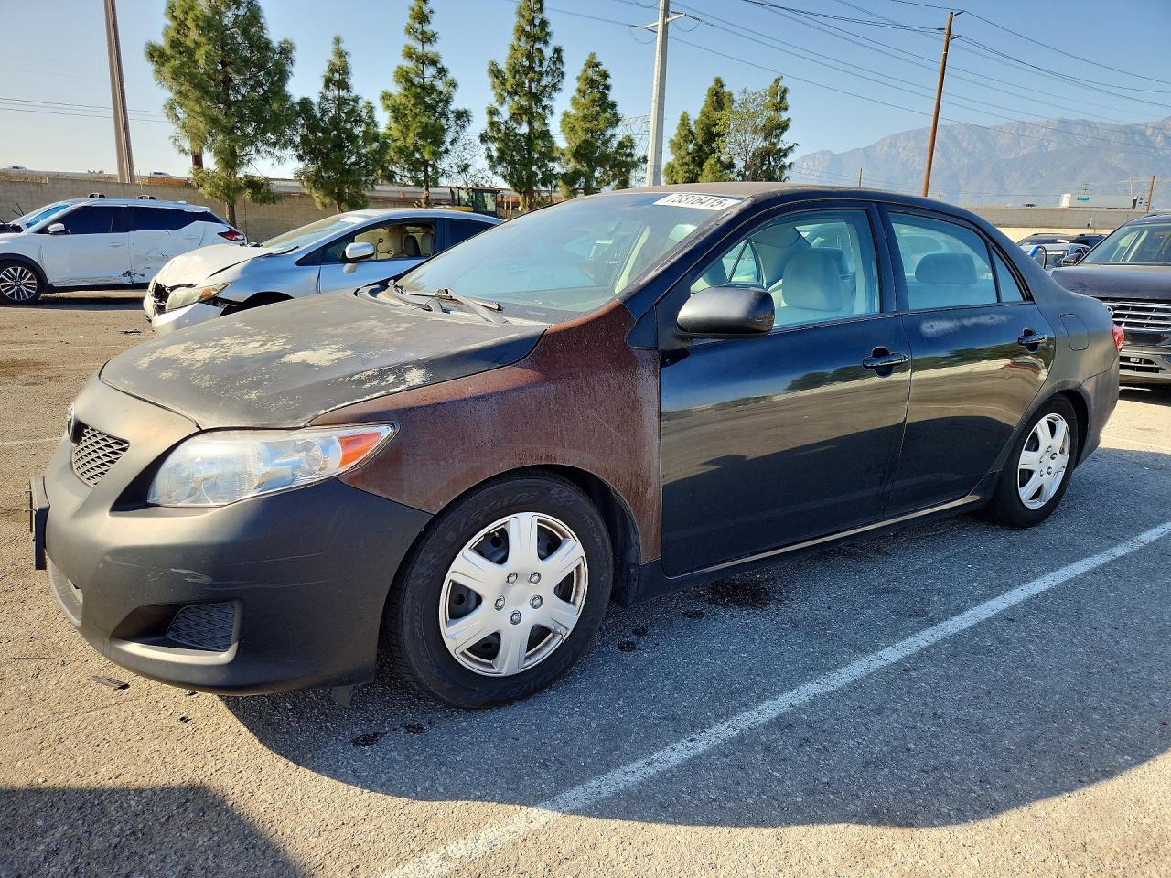 2010 TOYOTA COROLLA