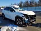 2019 LEXUS NX 300