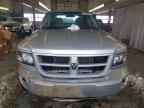 2011 DODGE Dakota