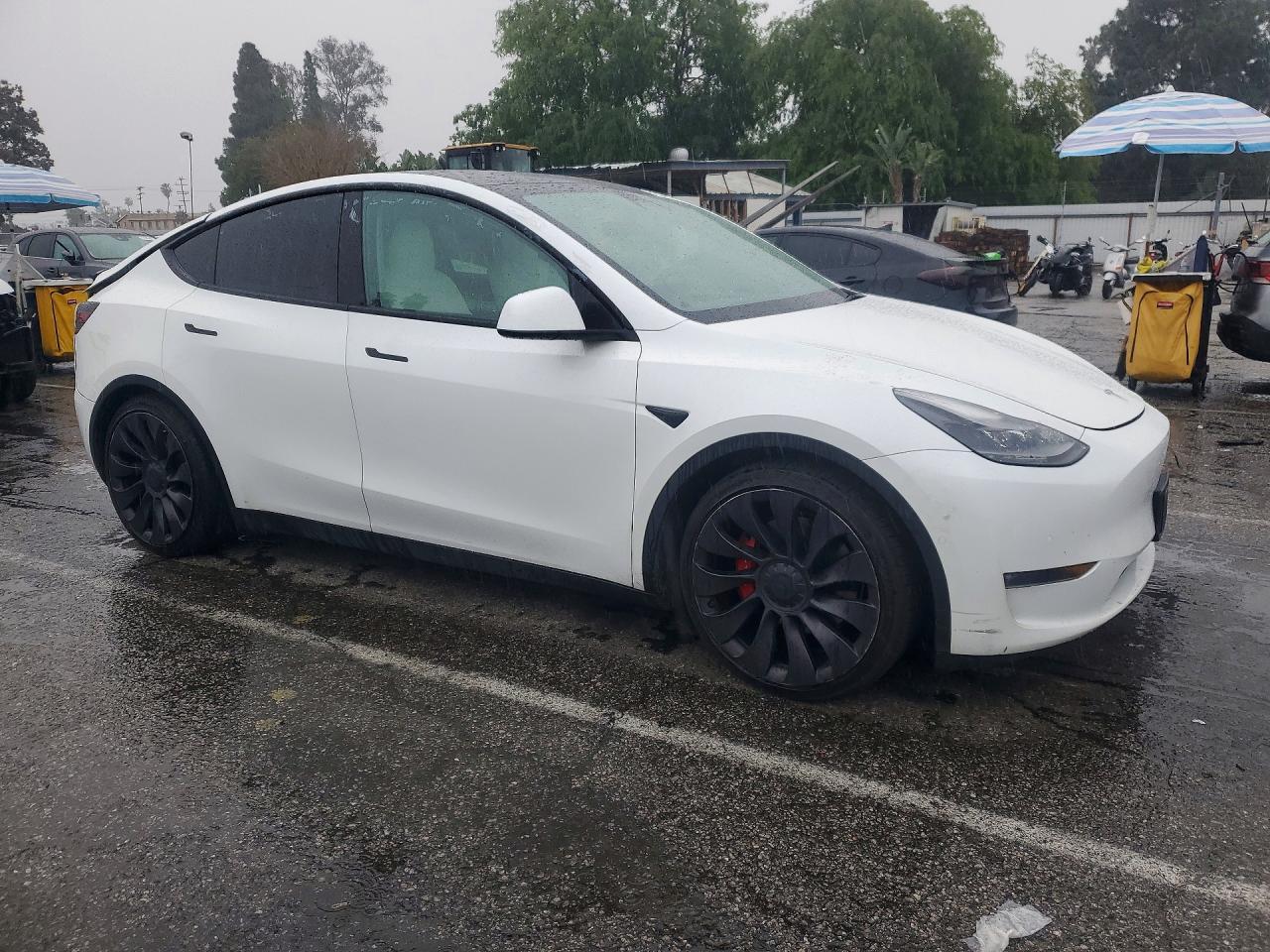 2021 TESLA MODEL Y