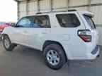 2024 TOYOTA 4Runner