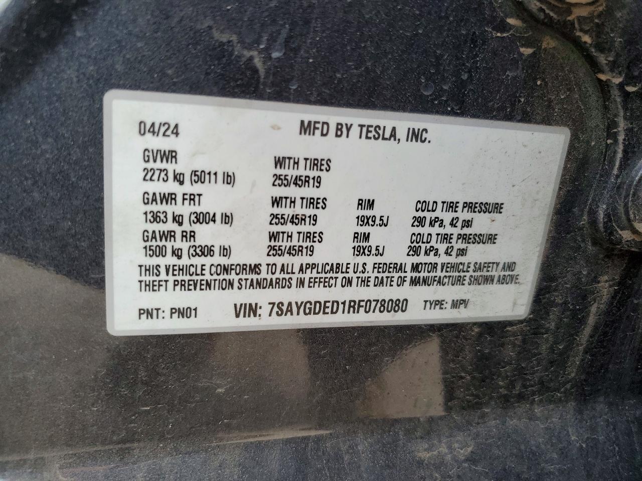 2024 TESLA MODEL Y