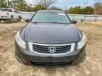 2010 HONDA ACCORD