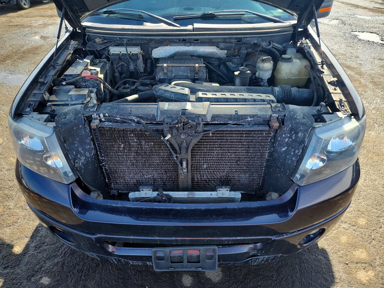 2007 FORD F-150