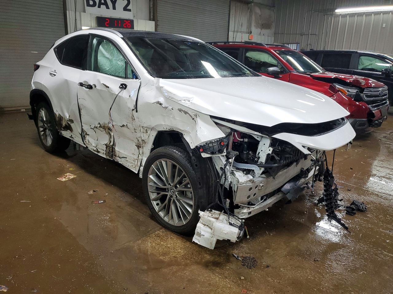 2025 LEXUS NX 350
