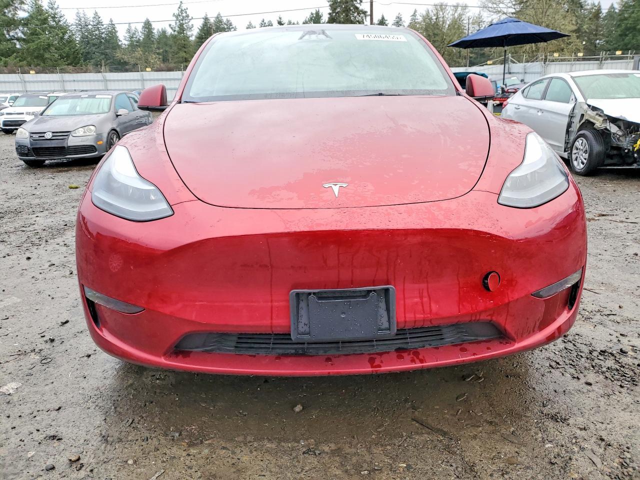 2024 TESLA MODEL Y