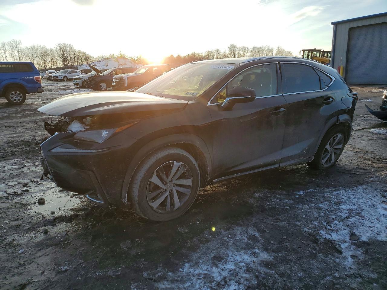 2021 LEXUS Nx