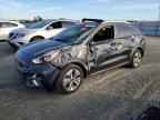 2022 KIA Niro