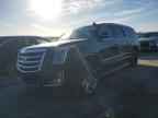 2019 CADILLAC Escalade ESV
