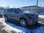 2019 CADILLAC ESCALADE