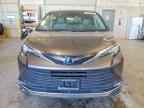 2023 TOYOTA SIENNA