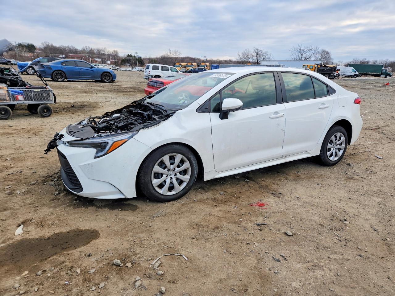 2025 TOYOTA COROLLA