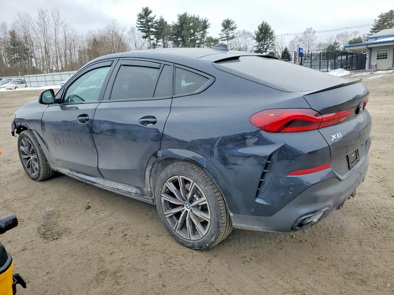 2023 BMW X6