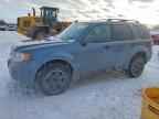 2010 FORD ESCAPE