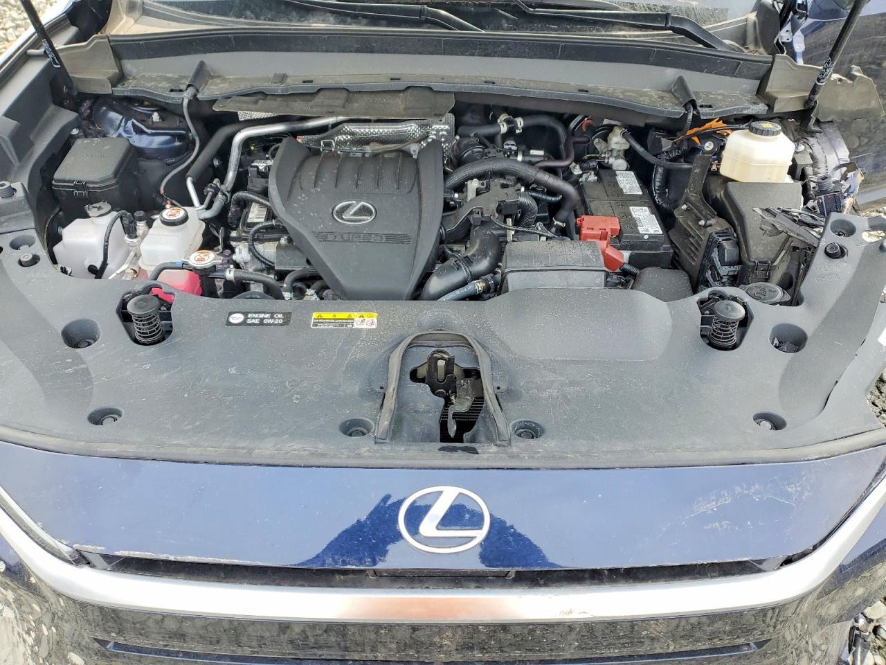 2024 LEXUS TX 350