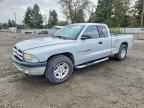 2001 DODGE Dakota