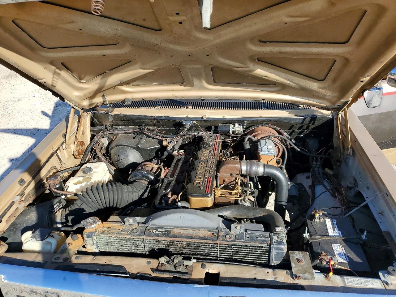 1991 DODGE D-Series