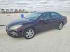 2006 LEXUS ES 330