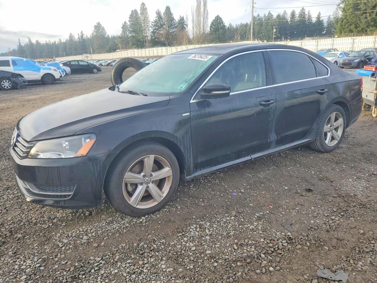 2014 VOLKSWAGEN Passat