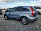 2007 HONDA CR-V